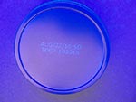 Gold Can UV Readable Code UV Light