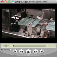 Sample - Egg Carton Coding Video