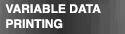 Variable Data Printer &ndash; Variable Information Printer &ndash; Variable Data Printing &ndash; Variable Information Printing
